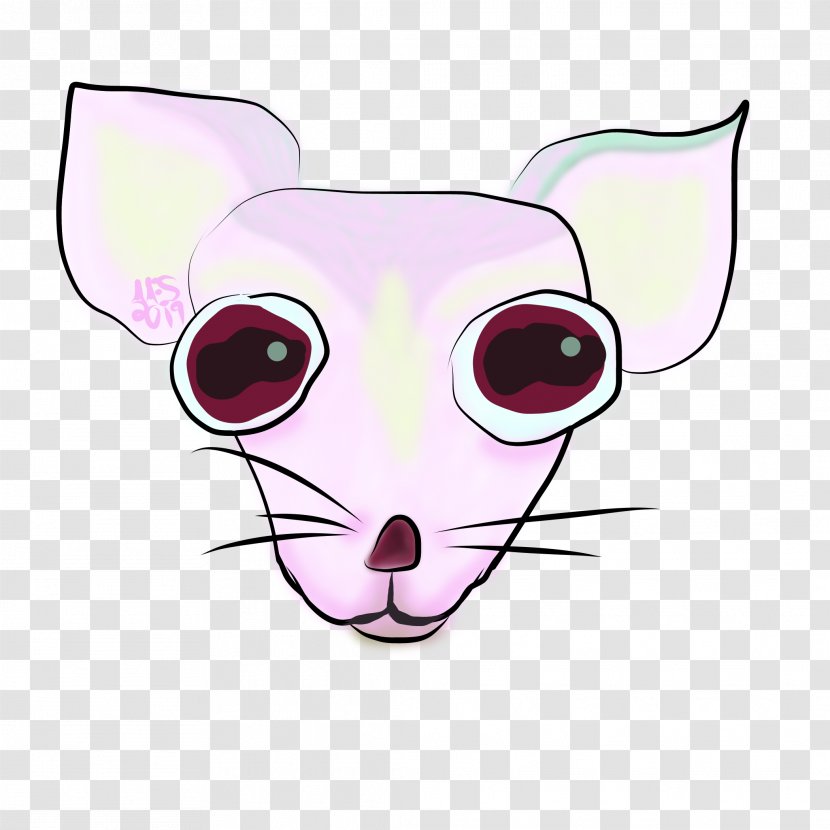 Kitten Cartoon - Pink M - Animation Transparent PNG
