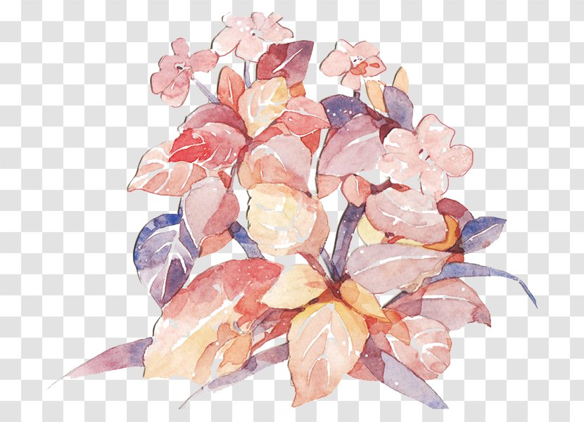 Tokyo National Cherry Blossom Festival - Painted Picture Material Transparent PNG