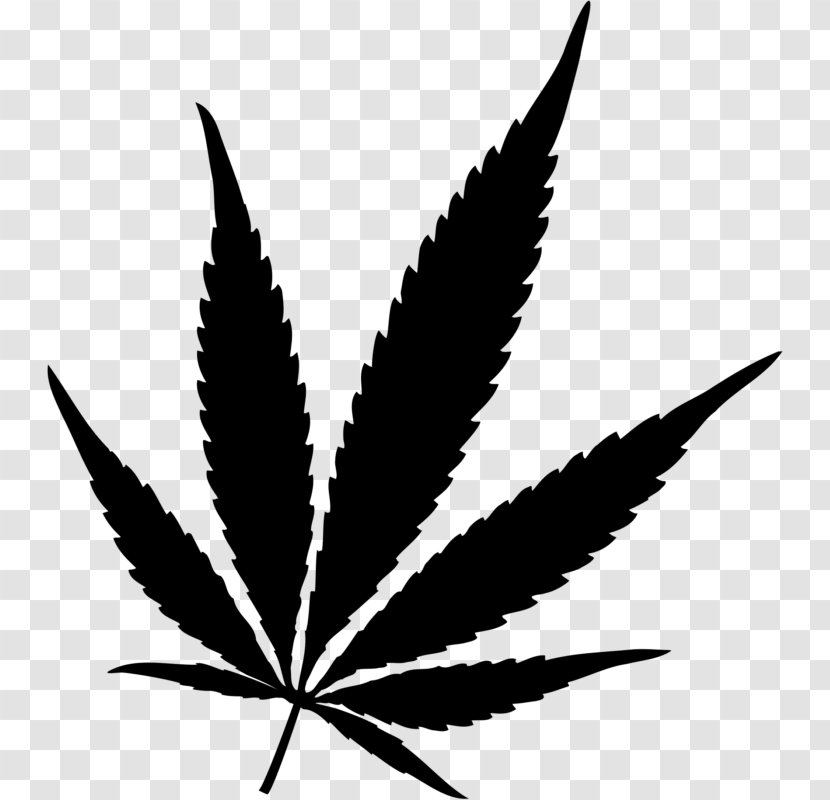 Cannabis Sativa Smoking Hash Oil Medical - Black And White Transparent PNG