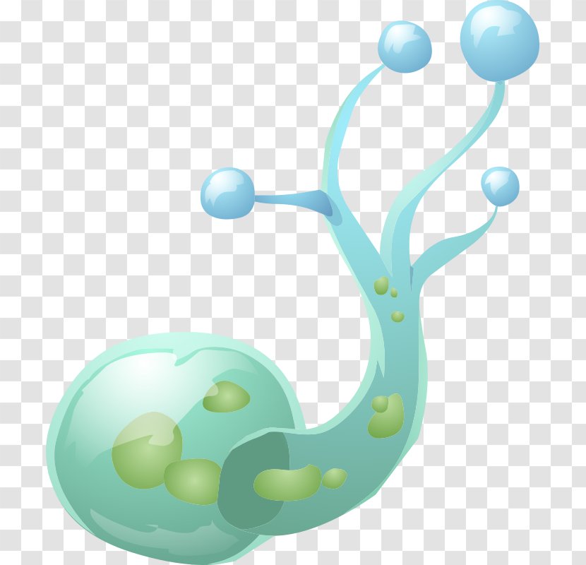 Clip Art - Water - Nation Cliparts Transparent PNG