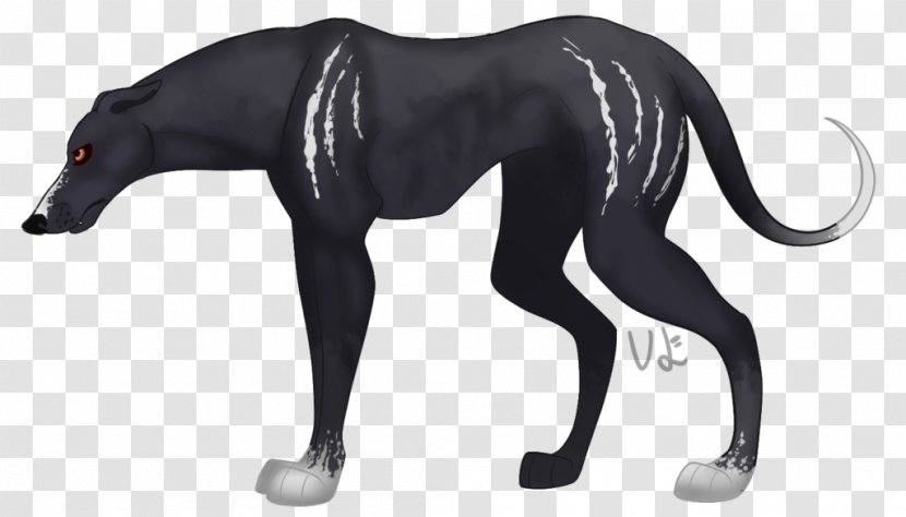 Canidae Cat Dog Neck - Black Transparent PNG
