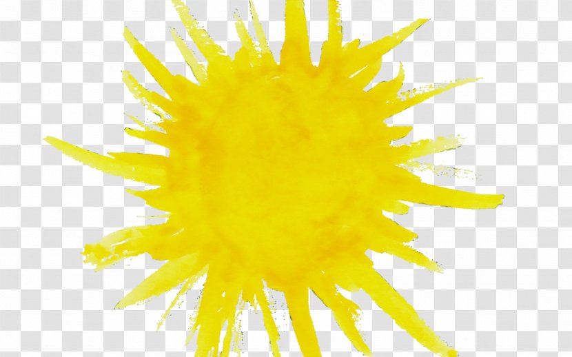 Sunflower - Dandelion - Pollen Transparent PNG