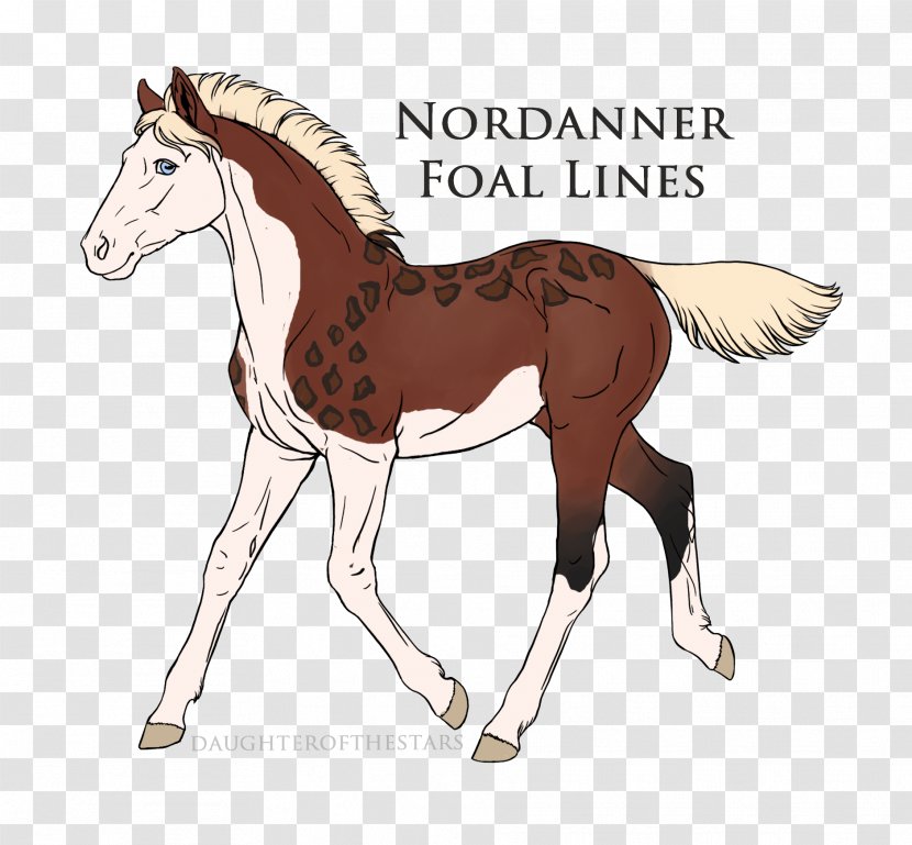 Mane Foal Mustang Stallion Colt Transparent PNG