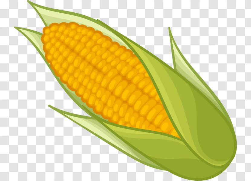 Corn On The Cob Maize Sweet Clip Art - Plant Transparent PNG