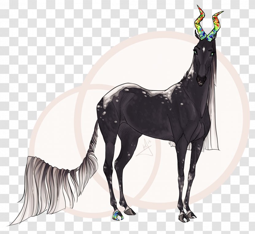 Stallion Drawing Horse Pony Foal - Silhouette - Dream Unicorn Transparent PNG
