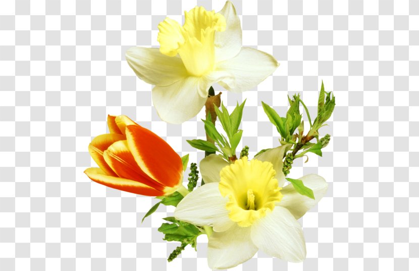 Floral Design Flower Arranging Petal - Floristry Transparent PNG