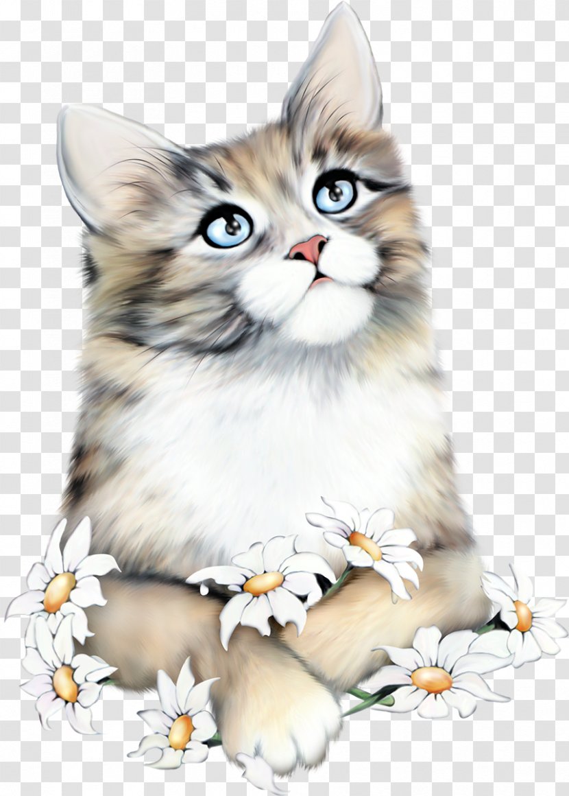 Why Paint Cats Kitten Clip Art Image - Whiskers - Cat Transparent PNG