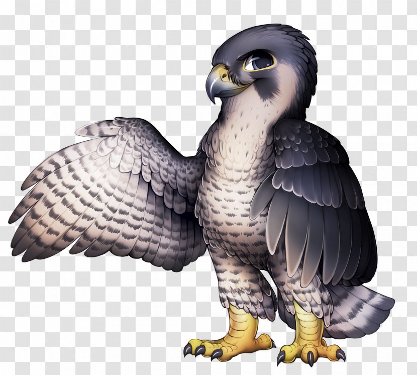 Bird Of Prey The Peregrine Falcon - Eagle Transparent PNG