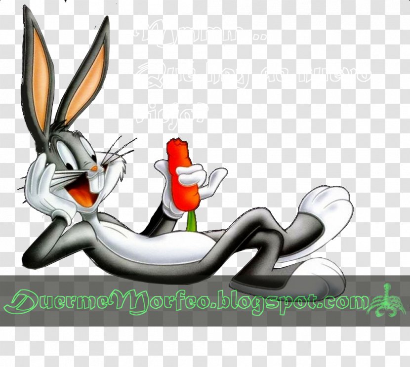 Bugs Bunny Looney Tunes Judge Maxwell Cartoon Image - Humour Transparent PNG
