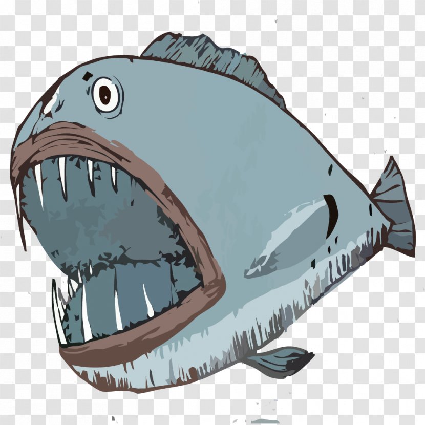 Tiger Shark Illustration - Fish - Hand Drawn Transparent PNG