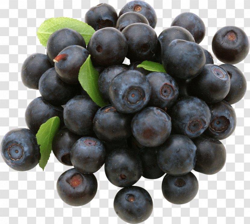 Blueberry Bilberry Huckleberry Cranberry - Zante Currant Transparent PNG