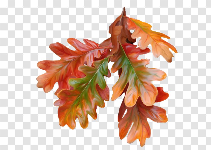 Autumn Leaf Color Paper - Pin - Leaves Transparent PNG