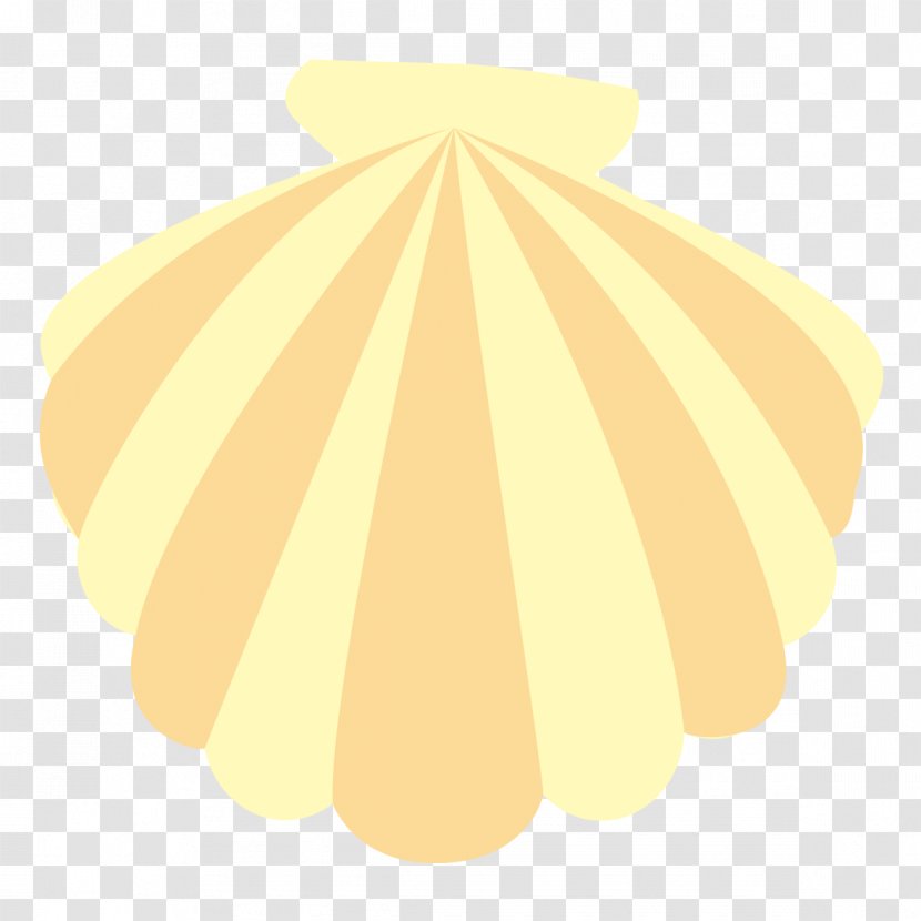 Yellow Seashell Illustration Color Green - Peach Transparent PNG