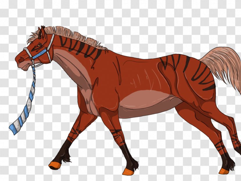 Rein Stallion Mustang - Saddle Transparent PNG