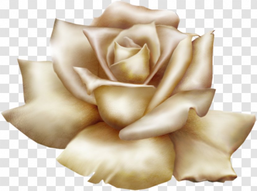 Flower Garden Roses Clip Art - Rose Family - GOLD ROSE Transparent PNG