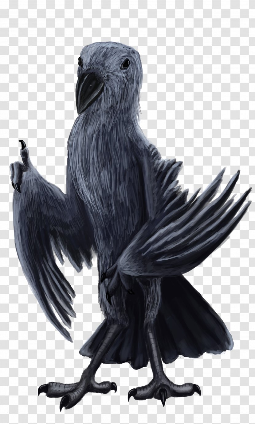 American Crow Bird Rook Passerine Eagle - Falconiformes Transparent PNG