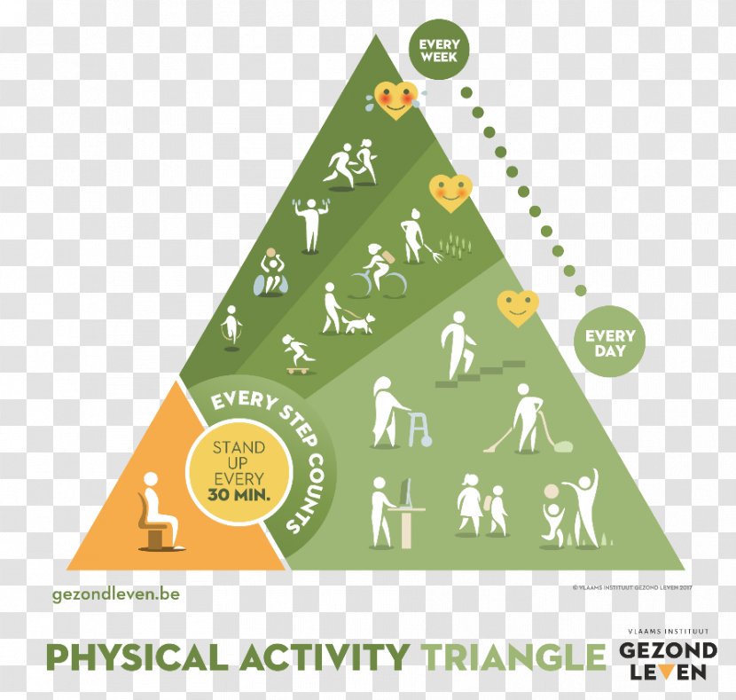 Voedingsdriehoek Food Health Bewegingsdriehoek Eating - Grass - Physical Activity Transparent PNG