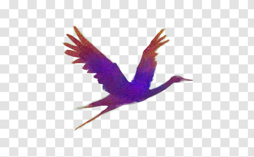 Bird Wing - Coach - Tail Ibis Transparent PNG
