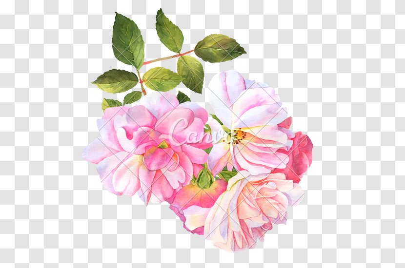 Watercolour Flowers Watercolor Painting Rose - Flower Arranging Transparent PNG