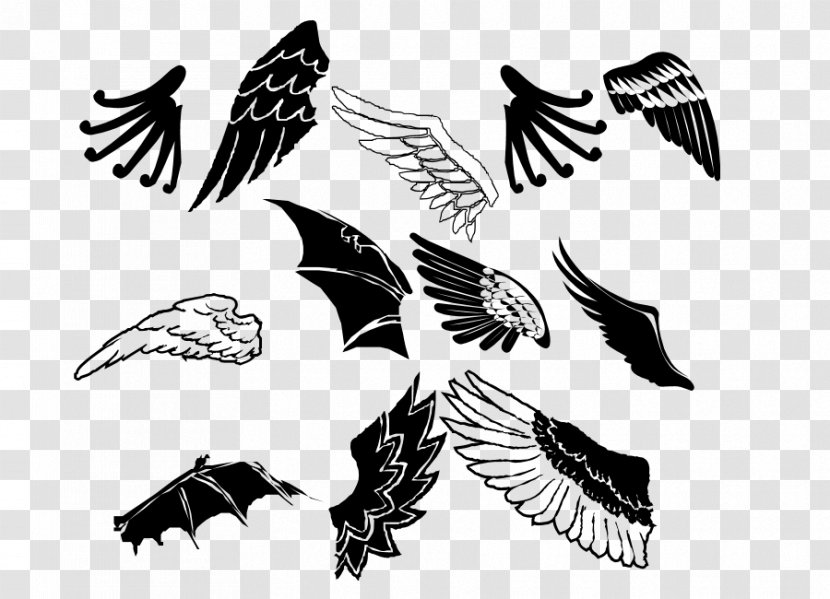 Beak Bird Of Prey Feather Clip Art - Black And White Transparent PNG