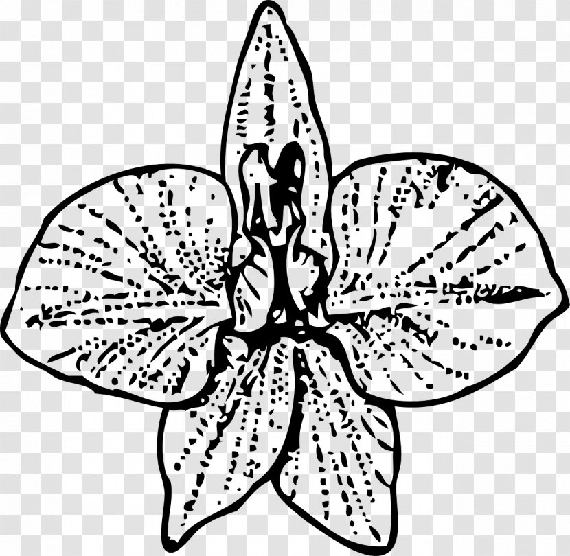 Nuttall's Larkspur Clip Art - Butterfly - OrchidsTipi Transparent PNG