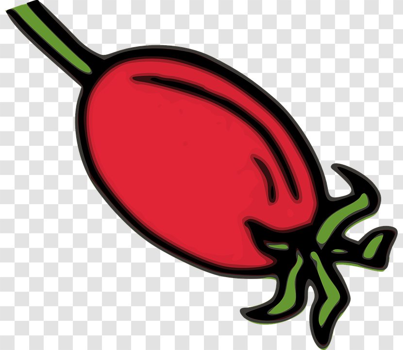 Rose Hip Clip Art - Ball And Socket Joint Transparent PNG