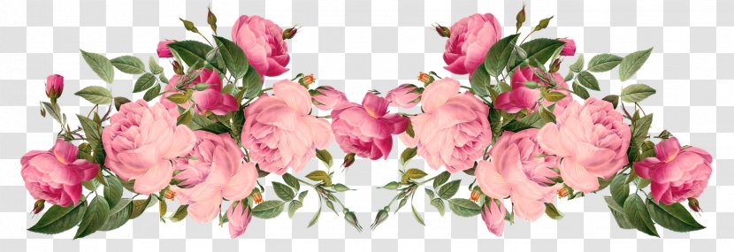 Flower Rose Pink Clip Art - Blue - Peonies Transparent PNG