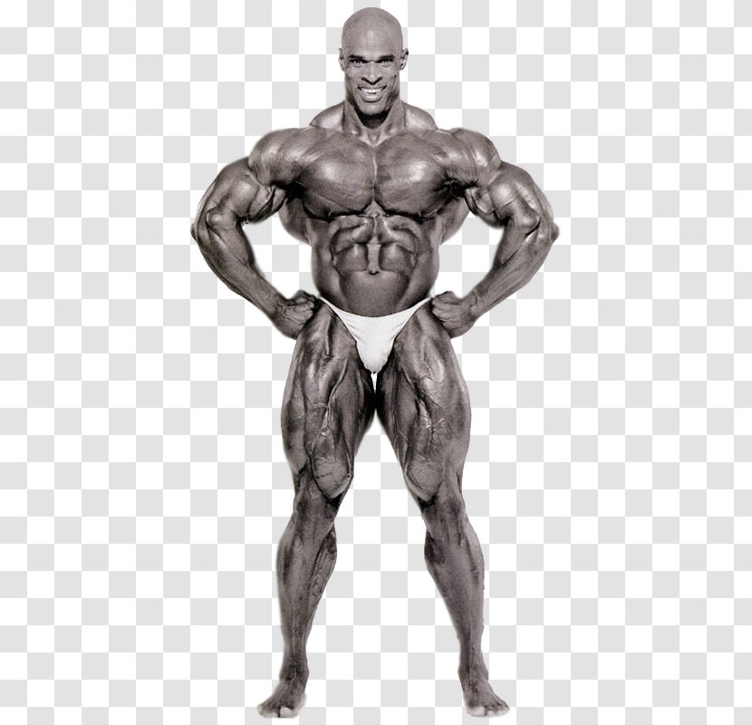 Ronnie Coleman Mr. Olympia Bodybuilding Universe Championships Weight Training - Tree - Bodybuilder Transparent PNG