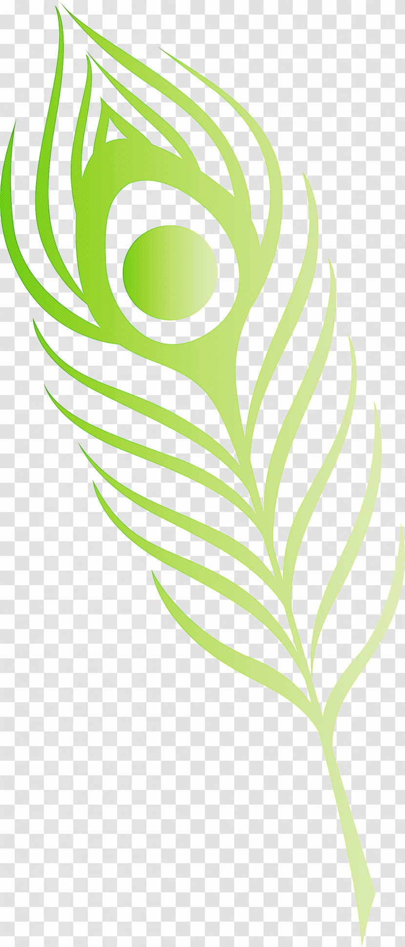 Feather Transparent PNG