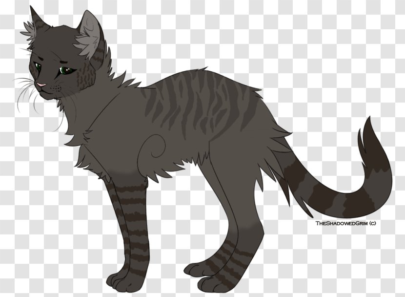 Whiskers Kitten Tabby Cat Domestic Short-haired Transparent PNG