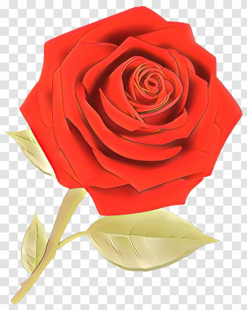 Garden Roses Cabbage Rose Cut Flowers Floristry Flower Bouquet - Red - Plant Stem Transparent PNG