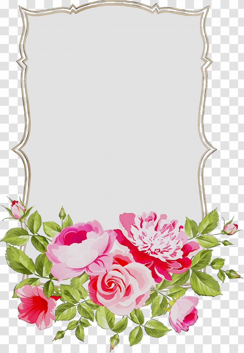 Garden Roses Cabbage Rose Floral Design Cut Flowers - Petal Transparent PNG