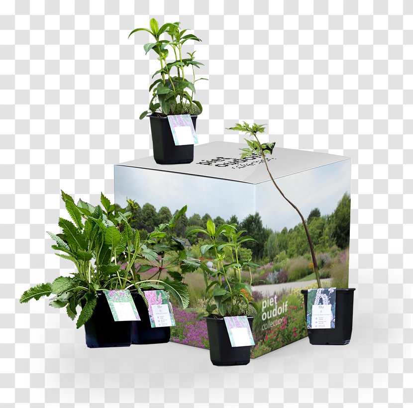 Flowerpot Garden Houseplant Piet Oudolf Collection - Container - Creative Transparent PNG