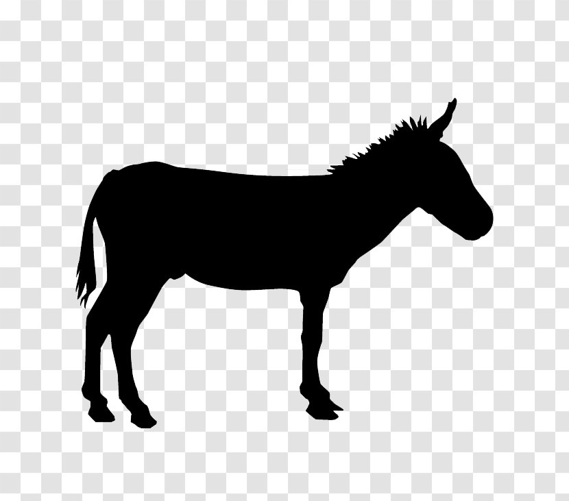 Donkey Silhouette Drawing - Livestock - Realistic Black Vector Material Transparent PNG