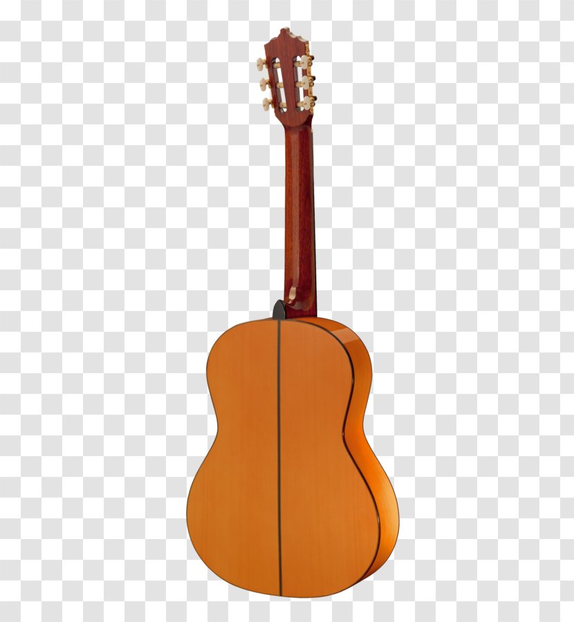Acoustic Guitar Ukulele Amazon.com Tiple - Flower - Binding Transparent PNG