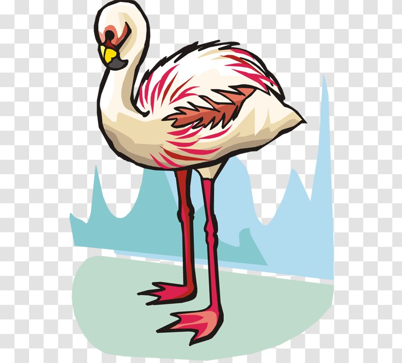 Bird Flamingo Clip Art - Water Transparent PNG
