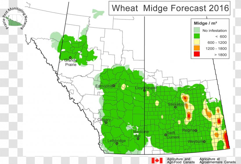 Map Canadian Prairies Saskatchewan Alberta - Forestry - Wheat Fealds Transparent PNG