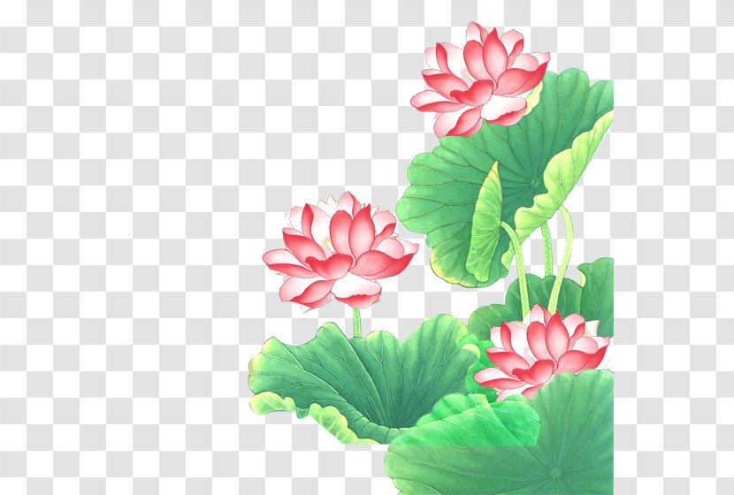 Chuxiong City Euclidean Vector - Annual Plant - Hand-painted Lotus Transparent PNG