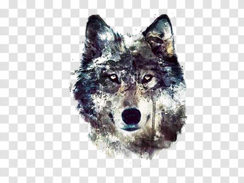 Desktop Wallpaper Dog The Wolf Image Pack Transparent PNG