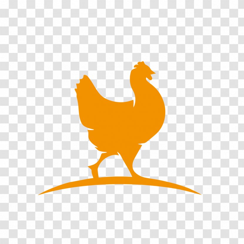Rooster Chicken Stock Photography Royalty-free Logo - Wing - Virus De La Enfermedad Bursal Infecciosa Transparent PNG