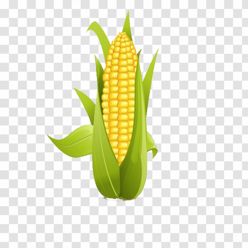 Corn On The Cob Sweet Clip Art - Commodity Transparent PNG