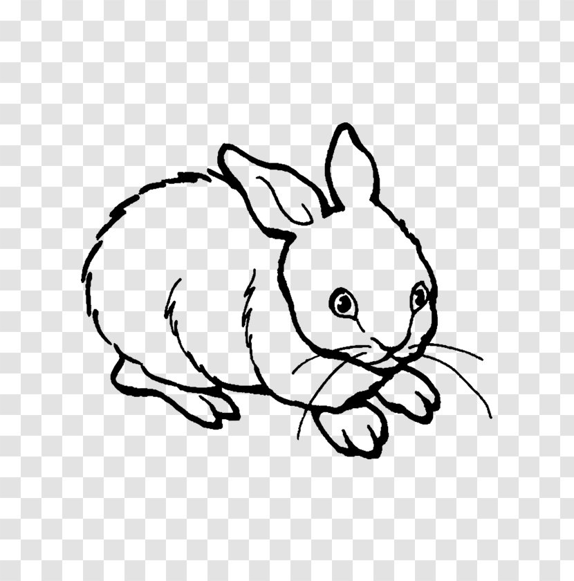 European Rabbit Drawing Painting - Animal Transparent PNG