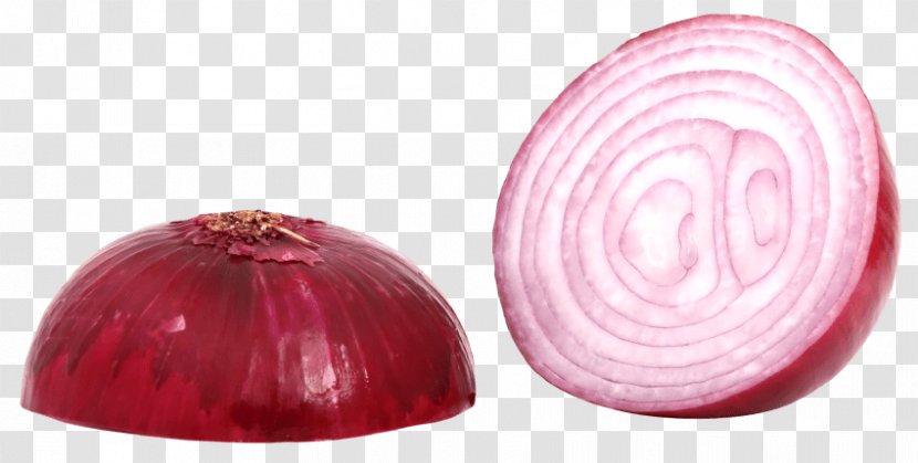 White Onion Yellow Clip Art - Food - Shallots Transparent PNG