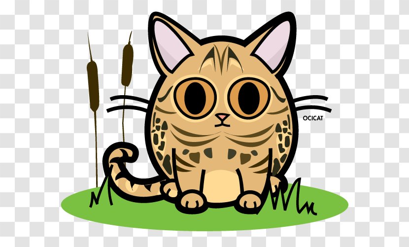 Whiskers Ocicat Kitten Cattery Snout - Black Cat Transparent PNG