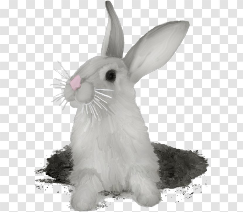 Hare Domestic Rabbit Rex - Myxomatosis Transparent PNG