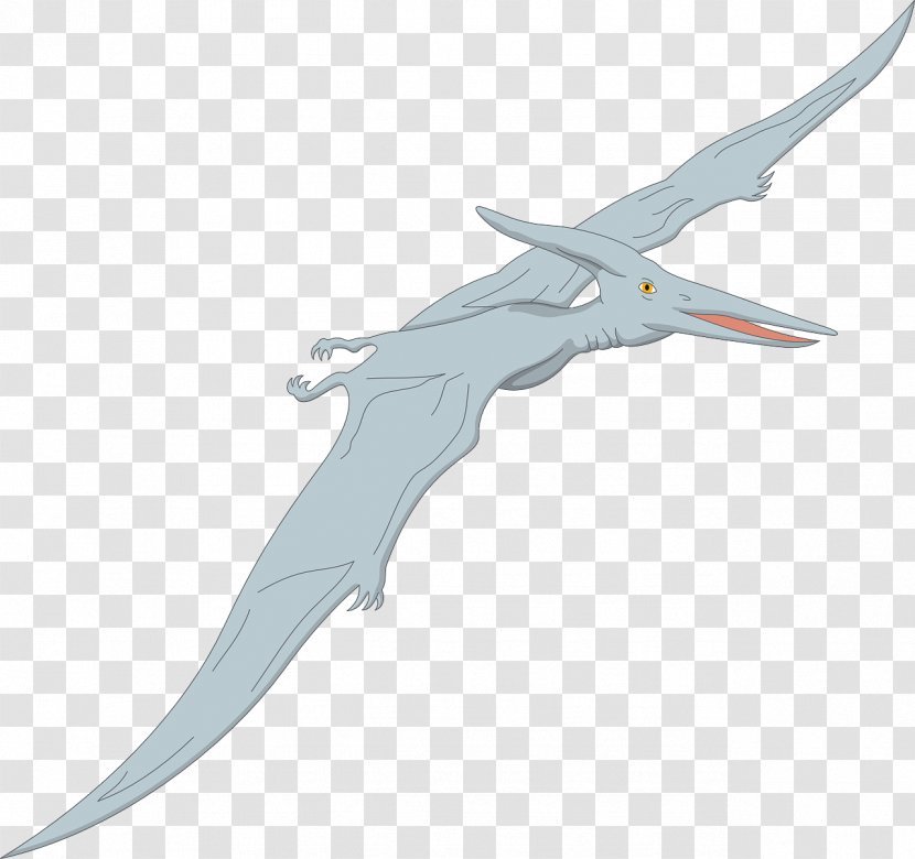 Pterodactyls Pteranodon Quetzalcoatlus Nyctosaurus Dimorphodon - Flight - Flying Pterosaur Transparent PNG