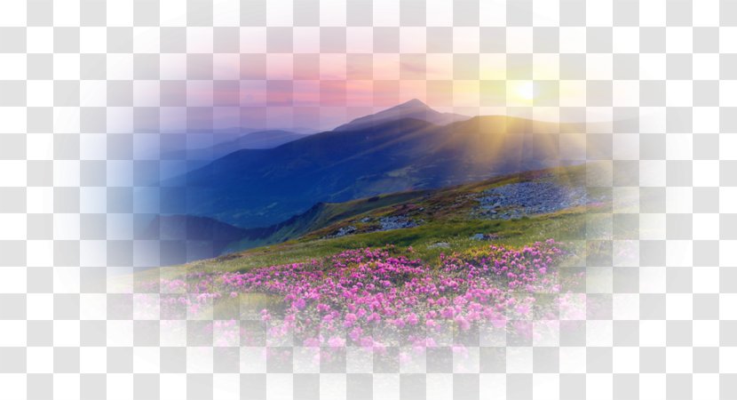 Desktop Wallpaper Computer Close-up Sky Plc - Mountain Landscape Transparent PNG