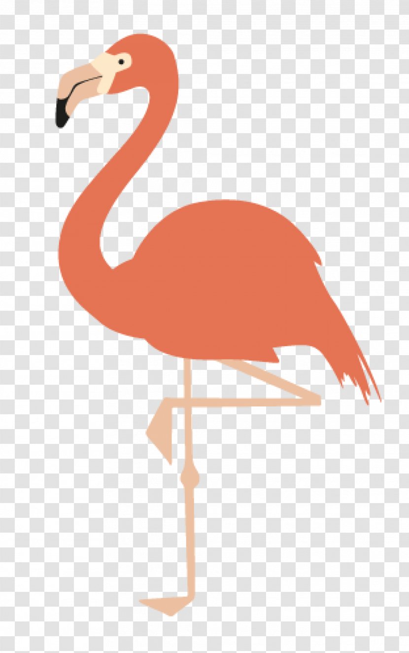 American Flamingo Drawing Printing Printmaking Transparent PNG