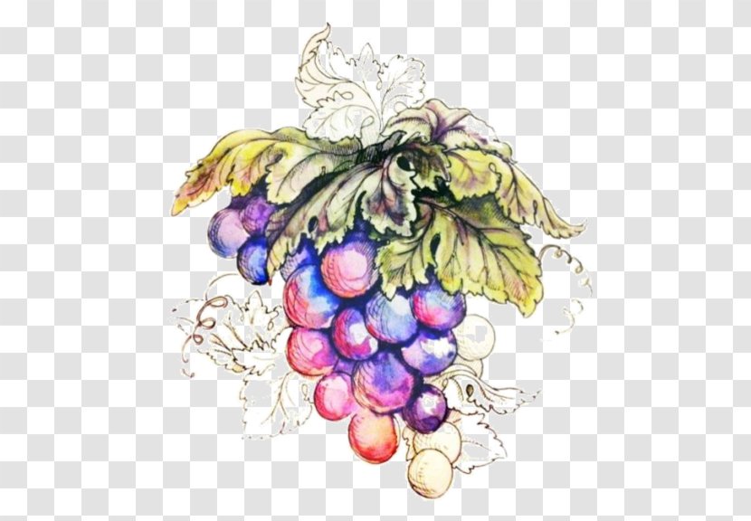 Grape Kyoho - A String Of Hand Painted Grapes Transparent PNG