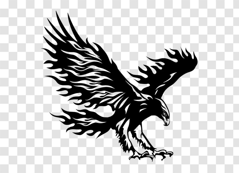 Wall Decal Bumper Sticker - Hawk - Tuning Transparent PNG